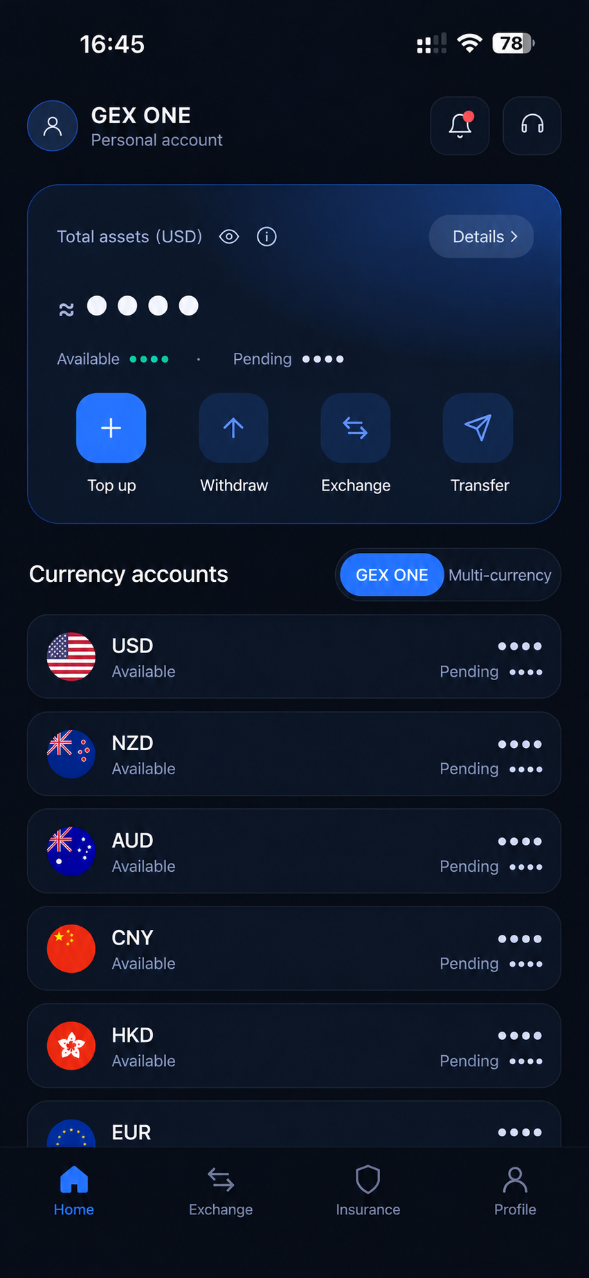 GEX One home and currency accounts